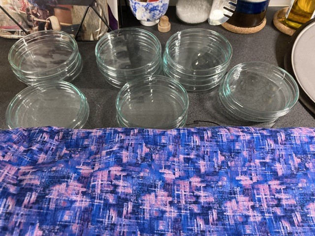 petri dish cosy and petri dishes